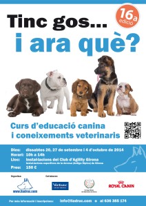 Curs educació canina i coneixements veterinaris
